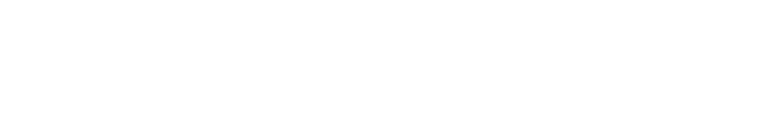 Logo Geocity Blanc